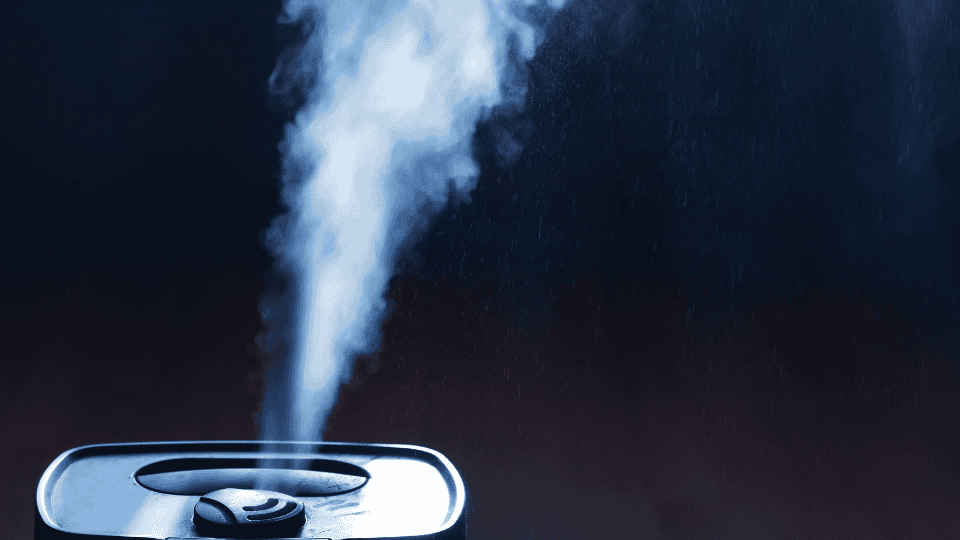 Humidifiers and Dehumidifiers